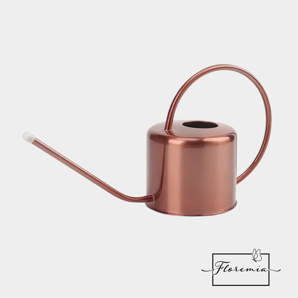 Regadera Plantas Elegante
