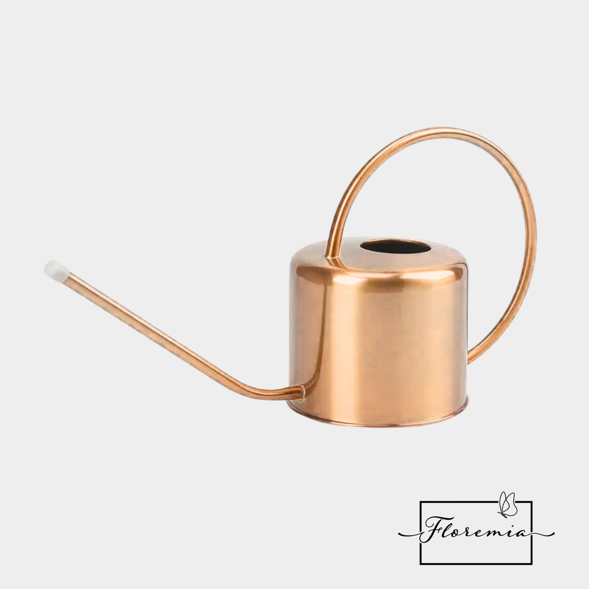 Regadera Plantas Elegante